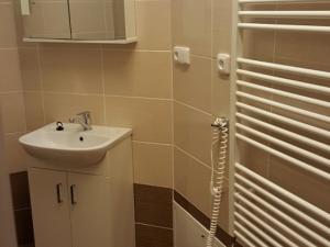 Pronájem bytu 1+kk, Benátky nad Jizerou, Pražská, 31 m2
