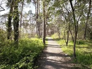 Prodej rodinného domu, Neratovice, Mládežnická, 174 m2