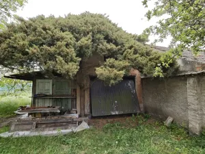 Prodej rodinného domu, Neratovice, Mládežnická, 174 m2