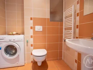 Pronájem bytu 3+kk, Ostrava - Slezská Ostrava, Michálkovická, 98 m2