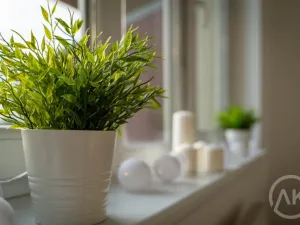 Pronájem bytu 3+kk, Ostrava - Slezská Ostrava, Michálkovická, 98 m2