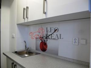 Pronájem bytu 1+kk, Mladá Boleslav - Mladá Boleslav III, Jičínská, 38 m2