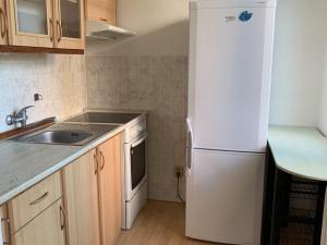 Pronájem bytu 1+1, Ostrava - Poruba, Svojsíkova, 28 m2