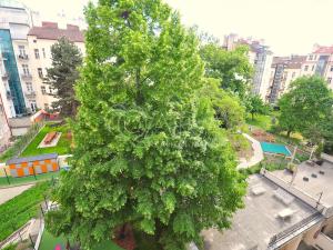 Prodej bytu 3+1, Praha - Vinohrady, Slezská, 130 m2