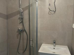 Pronájem bytu 1+kk, Brno - Trnitá, Křenová, 27 m2