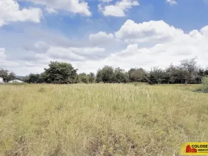 Prodej pozemku pro bydlení, Sebranice, 2000 m2