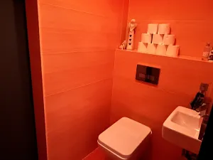 Prodej bytu 4+kk, Pelhřimov, Dolnokubínská, 119 m2