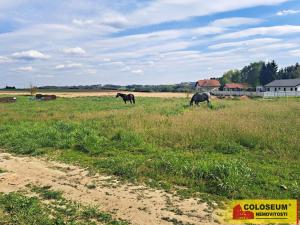 Prodej pozemku pro bydlení, Bácovice, 1115 m2