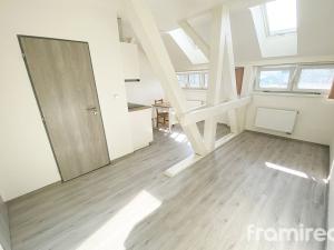 Pronájem bytu 1+kk, Brno - Pisárky, Hlinky, 24 m2
