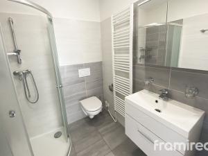 Pronájem bytu 1+kk, Brno - Pisárky, Hlinky, 24 m2