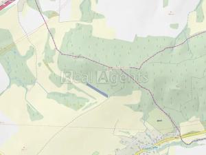 Prodej lesa, Rybí, 4069 m2