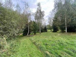 Prodej pozemku, Dolní Bukovsko - Bzí, 780 m2