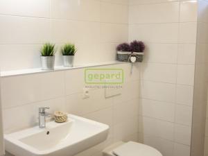 Pronájem bytu 1+kk, Bučovice, Osvobození, 40 m2