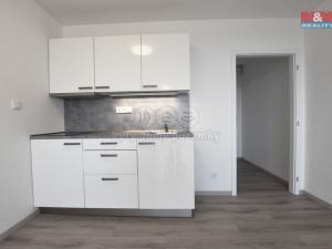 Pronájem bytu 1+kk, Hradec Králové - Nový Hradec Králové, třída Edvarda Beneše, 30 m2