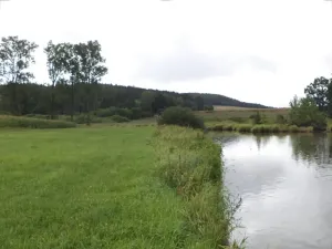 Dražba pozemku, Kocelovice, 5241 m2