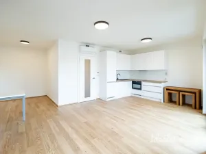 Pronájem bytu 1+kk, Praha - Žižkov, Basilejské náměstí, 42 m2
