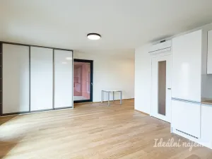 Pronájem bytu 1+kk, Praha - Žižkov, Basilejské náměstí, 42 m2