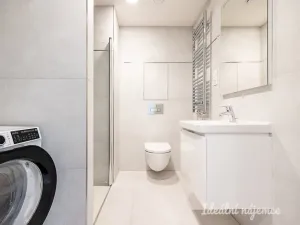 Pronájem bytu 1+kk, Praha - Žižkov, Basilejské náměstí, 42 m2