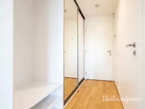 Pronájem bytu 1+kk, Praha - Žižkov, Basilejské náměstí, 42 m2