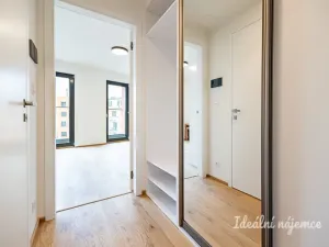 Pronájem bytu 1+kk, Praha - Žižkov, Basilejské náměstí, 42 m2