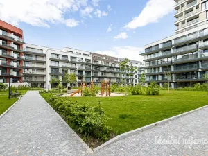 Pronájem bytu 1+kk, Praha - Žižkov, Basilejské náměstí, 42 m2