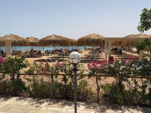 Prodej bytu 1+kk, Hurgáda,Egypt, 43 m2