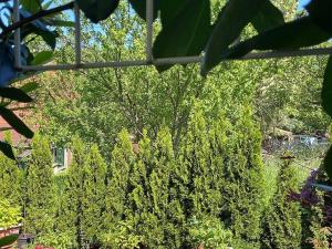 Prodej bytu 5+1, Děčín - Děčín II-Nové Město, Lužická, 145 m2