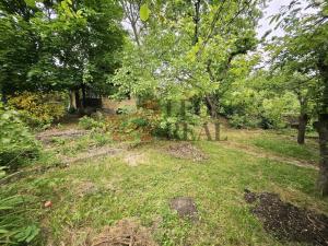 Prodej chaty, Černolice, Jeřabinová, 35 m2
