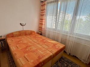 Pronájem bytu 1+1, České Budějovice - České Budějovice 3, Staroměstská, 43 m2