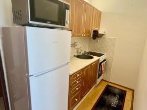Pronájem bytu 1+1, České Budějovice - České Budějovice 3, Staroměstská, 43 m2