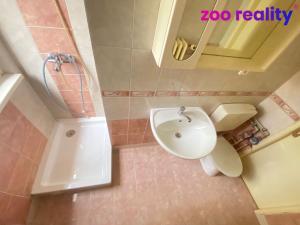 Prodej bytu 1+1, Chomutov, Blatenská, 34 m2