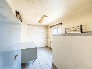 Prodej výrobních prostor, Bzová, 177 m2