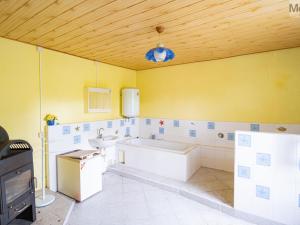 Prodej chalupy, Nová Ves v Horách - Mikulovice, 320 m2