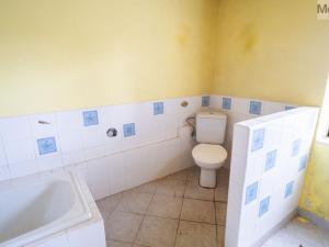 Prodej chalupy, Nová Ves v Horách - Mikulovice, 320 m2