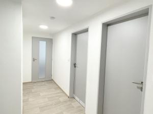Pronájem bytu 2+kk, Olomouc, U solných mlýnů, 63 m2