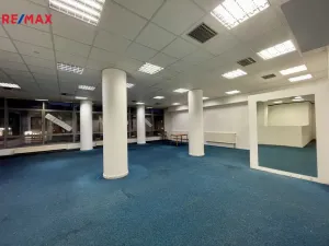 Pronájem obchodního prostoru, Třebíč - Vnitřní Město, Karlovo nám., 219 m2