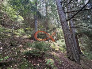 Prodej louky, Nový Hrozenkov, 25140 m2