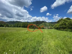 Prodej louky, Nový Hrozenkov, 25140 m2