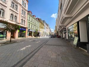 Prodej bytu 2+1, Karlovy Vary, T. G. Masaryka, 77 m2