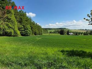 Prodej pozemku pro bydlení, Borová, 7429 m2