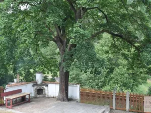 Prodej vily, Karlovy Vary, K Přehradě, 350 m2