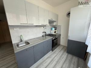 Prodej bytu 3+1, Bílina - Teplické Předměstí, M. Švabinského, 72 m2