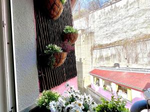 Pronájem bytu 2+kk, Karlovy Vary, Vřídelní, 43 m2