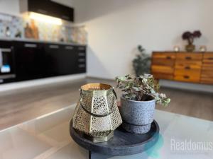 Pronájem bytu 2+kk, České Budějovice, Boh. Kafky, 56 m2