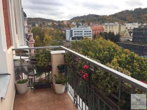 Pronájem bytu 1+1, Karlovy Vary, nábřeží Jana Palacha, 47 m2