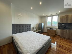 Pronájem bytu 1+kk, Karlovy Vary, Závodní, 30 m2