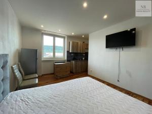 Pronájem bytu 1+kk, Karlovy Vary, Závodní, 30 m2