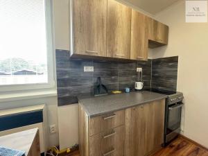 Pronájem bytu 1+kk, Karlovy Vary, Závodní, 30 m2
