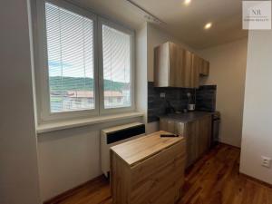 Pronájem bytu 1+kk, Karlovy Vary, Závodní, 30 m2