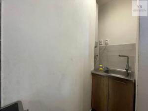 Pronájem bytu 1+kk, Karlovy Vary, Závodní, 30 m2